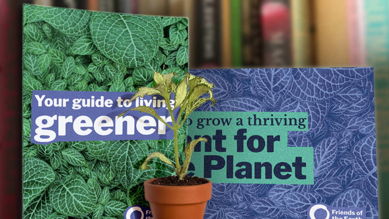 Donate for your Plant for the Planet | Friends of the Earth