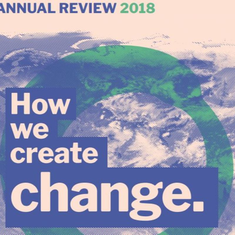 Annual Review 2018