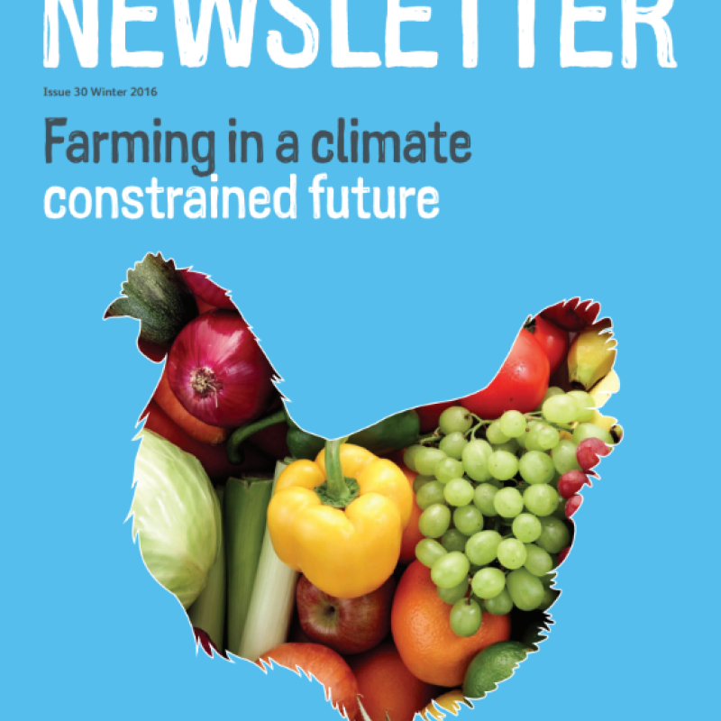 A newsletter front cover
