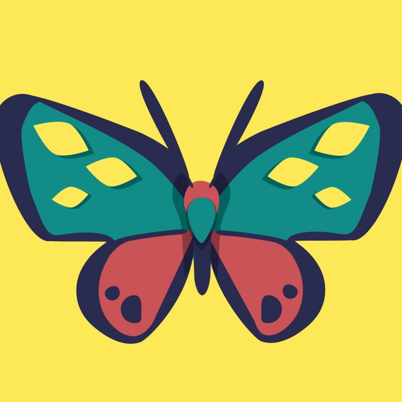 Animated Butterfly