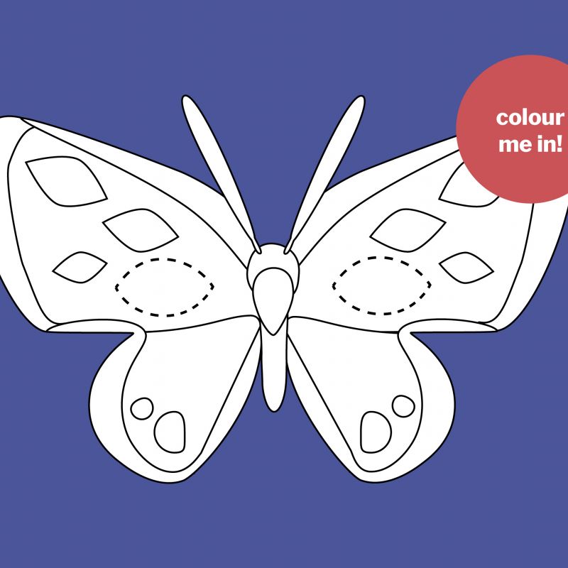 Black and white butterfly to colour in
