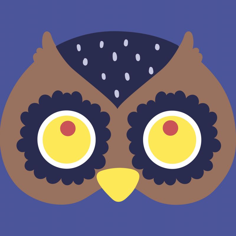 An animation of an owl