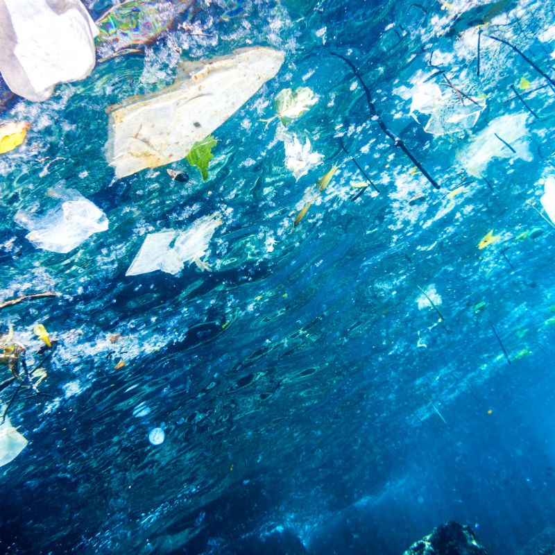 Underwater image of plastic pollution in the ocean