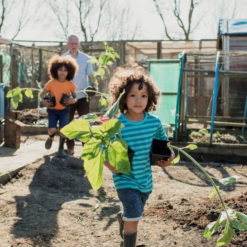 A child in a garden carrying two plants in pots