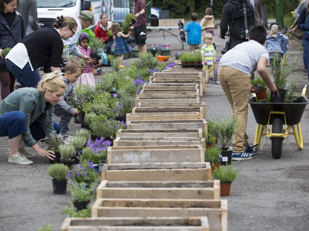 Neighbours coming together in Hackney to make their streets and front gardens greener