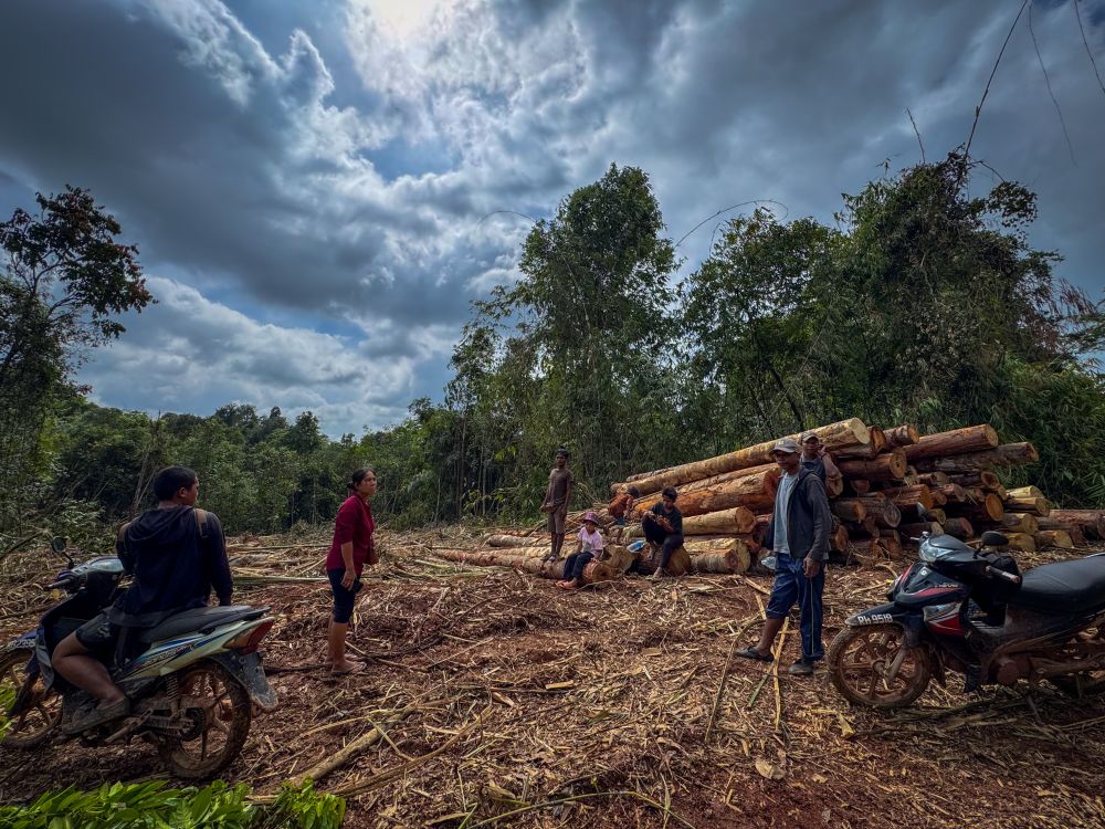 Malaysian people stand by logs in a part of the forest that has been cleared. There are a couple of mopeds there too. 