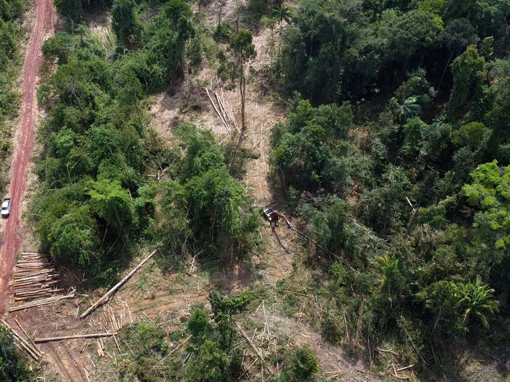 Arial image showing deforestation in Malaysia.