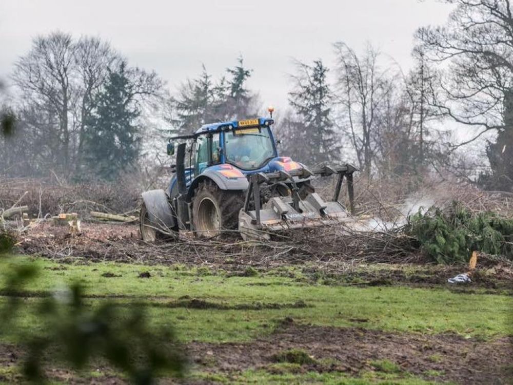 Devastation caused by tree felling in Blackwell, Darlington 