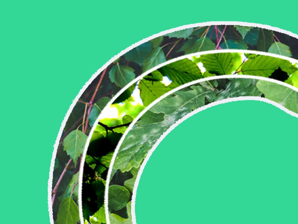 Rings with different leaves inside