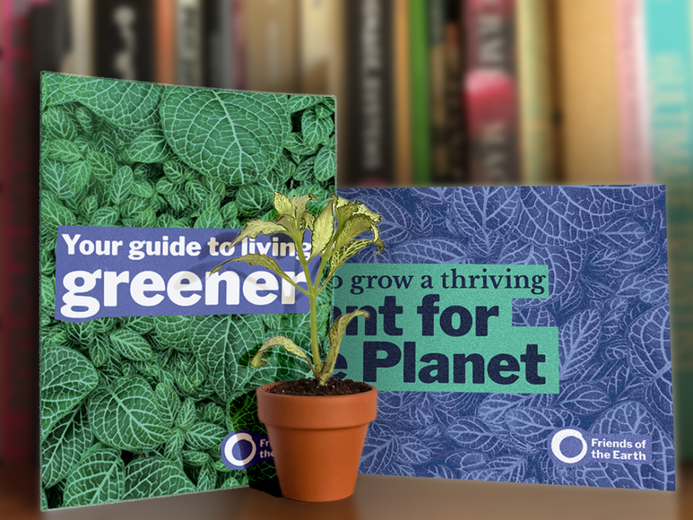 Plant for the planet pack shot including the plant itself and information materials