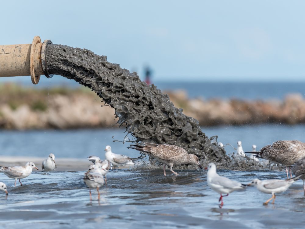 Sewage pollution in Latvia