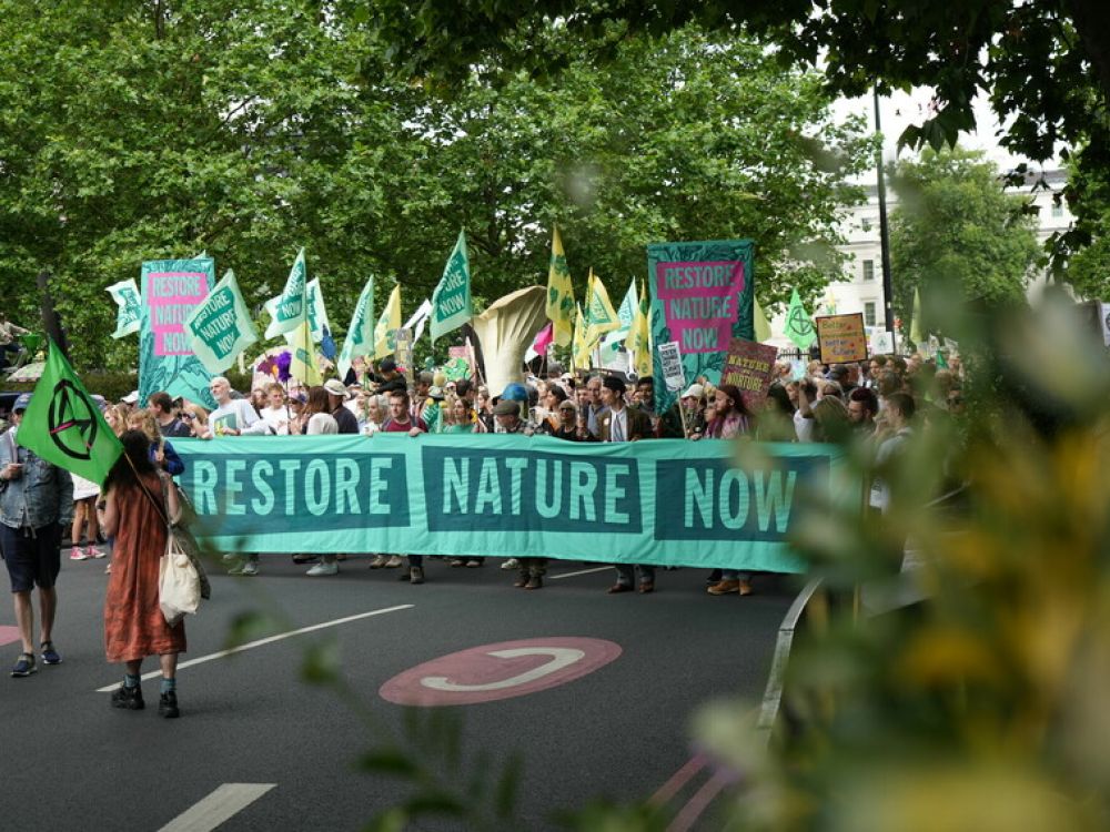 Restore Nature Now demo