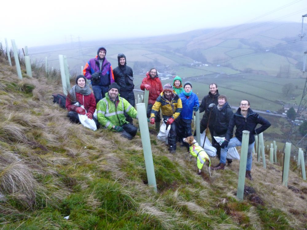 Treesponsibility have planted 250,000 trees across Calderdale