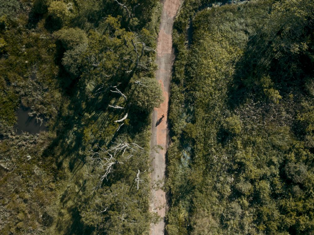 aerial photo of track through scrubland