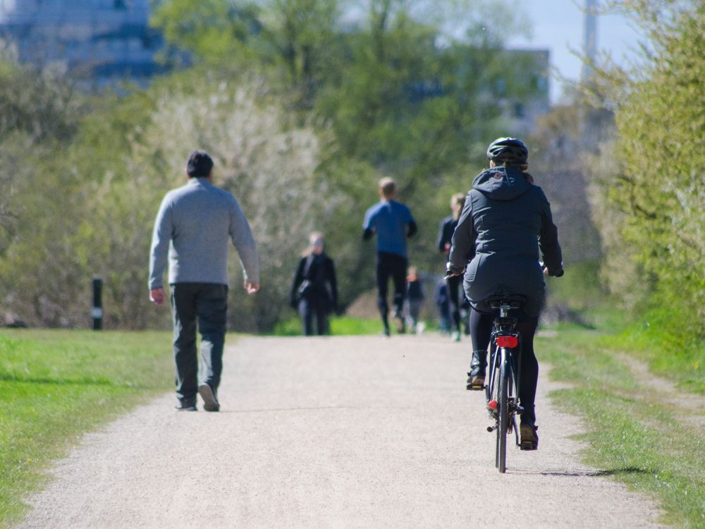 People walking and cycling in a park